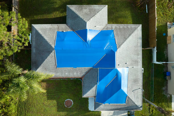 Best Roof Insulation Installation  in Luverne, MN
