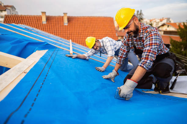 Best Storm Damage Roof Repair  in Luverne, MN