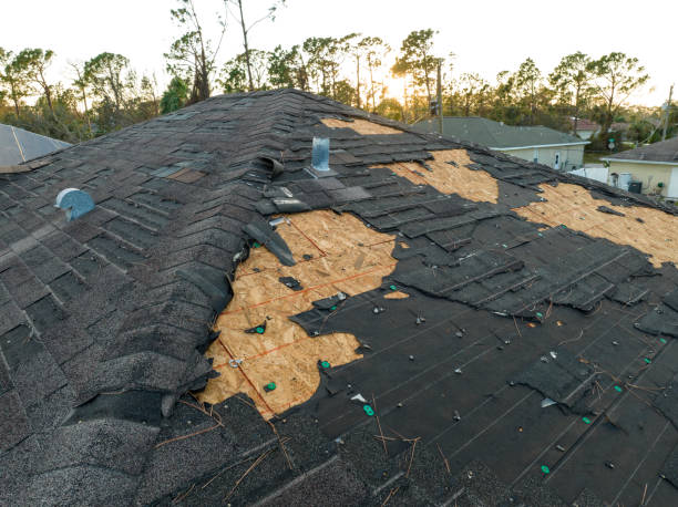 Best Hot Roofs  in Luverne, MN