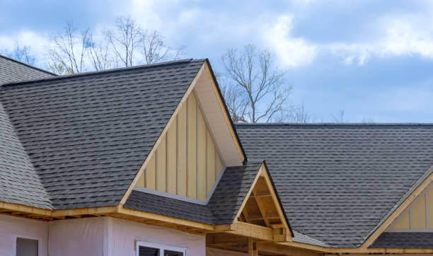 Best Asphalt Shingles Roofing  in Luverne, MN
