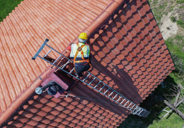 Best Steel Roofing  in Luverne, MN