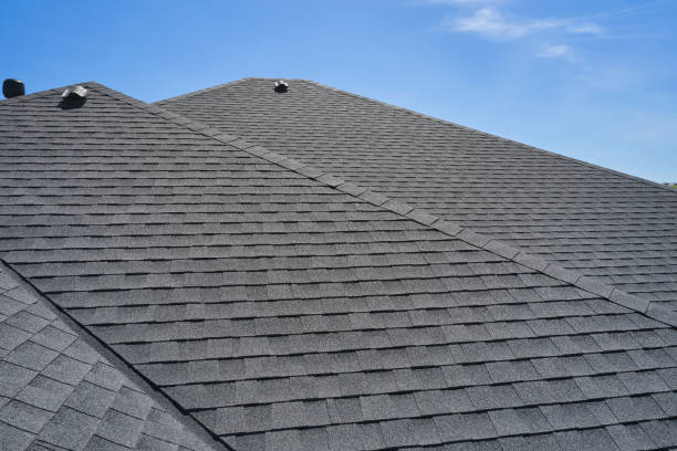 Best Roof Moss and Algae Removal  in Luverne, MN
